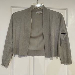 Calvin Klein Silver Sparkly Shawl